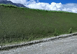 噴播植草綠化技術(shù)應(yīng)用