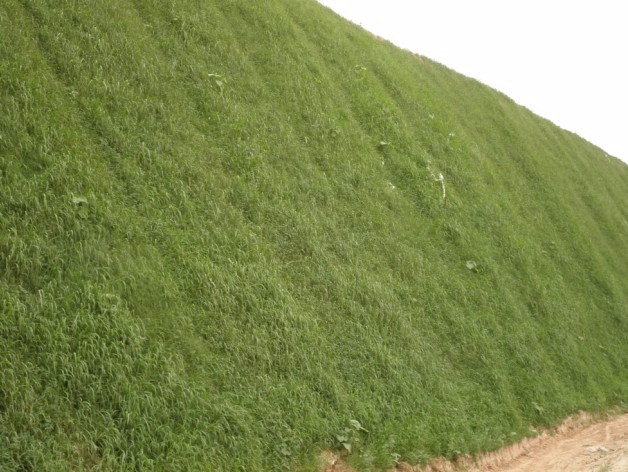 西峽到武陟高速公路滎陽段，恒睿客土噴播機邊坡綠化施工現場及綠化效果