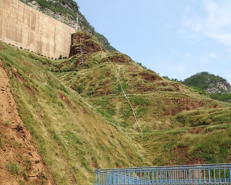 新一代邊坡綠化產品--生態袋