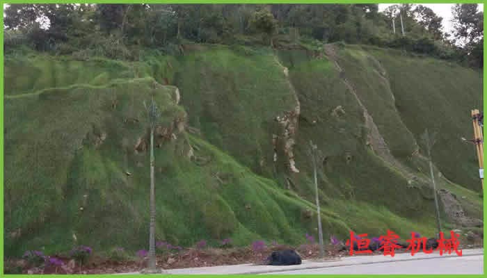 邊坡綠化不同類(lèi)型需要不同的方法