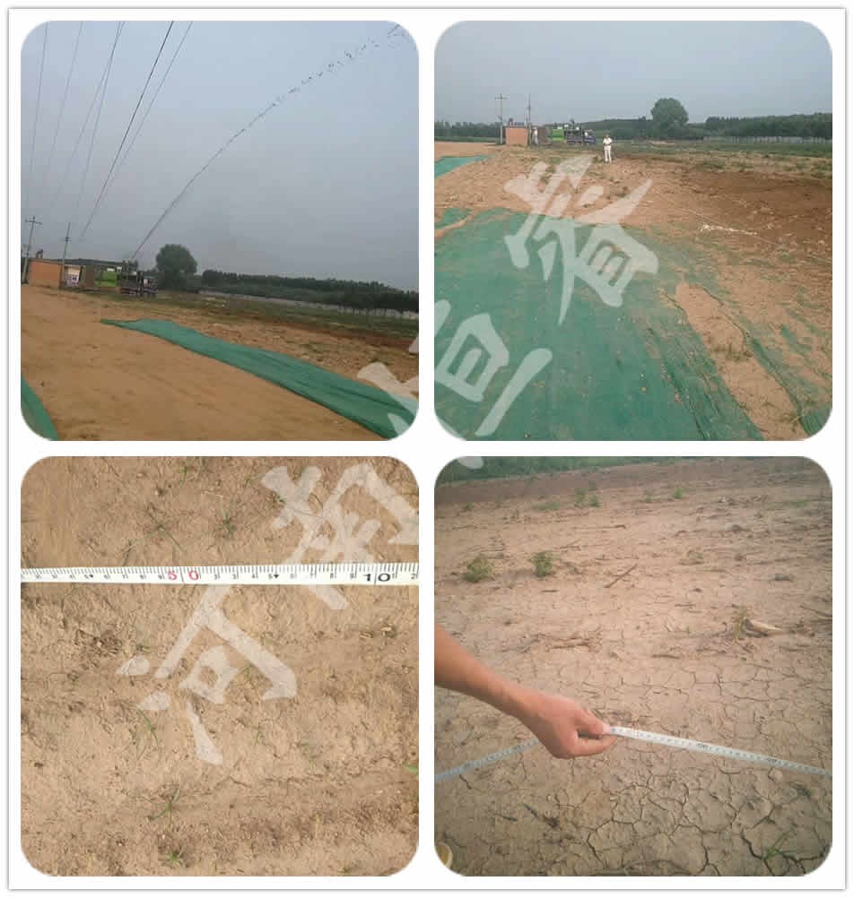 我公司180型客土噴播機直噴118米現場