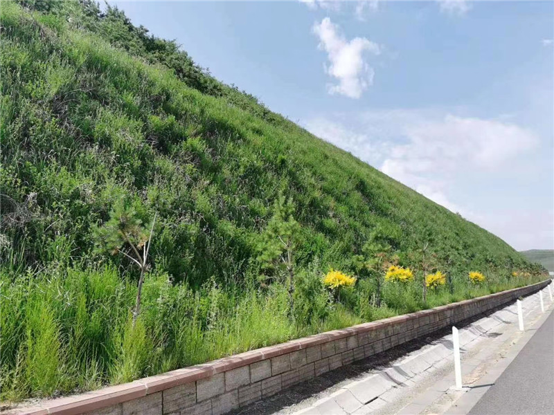 恒睿噴播綠化保水劑綠化坡面 恒睿噴播綠化保水劑綠化坡面